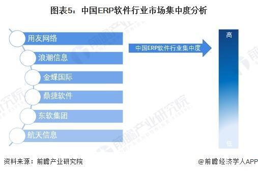 2025 2030年中國erp軟件龍頭企業軟件業務布局分析