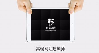 高端品牌網(wǎng)站與系統(tǒng)軟件開發(fā)定制解決方案